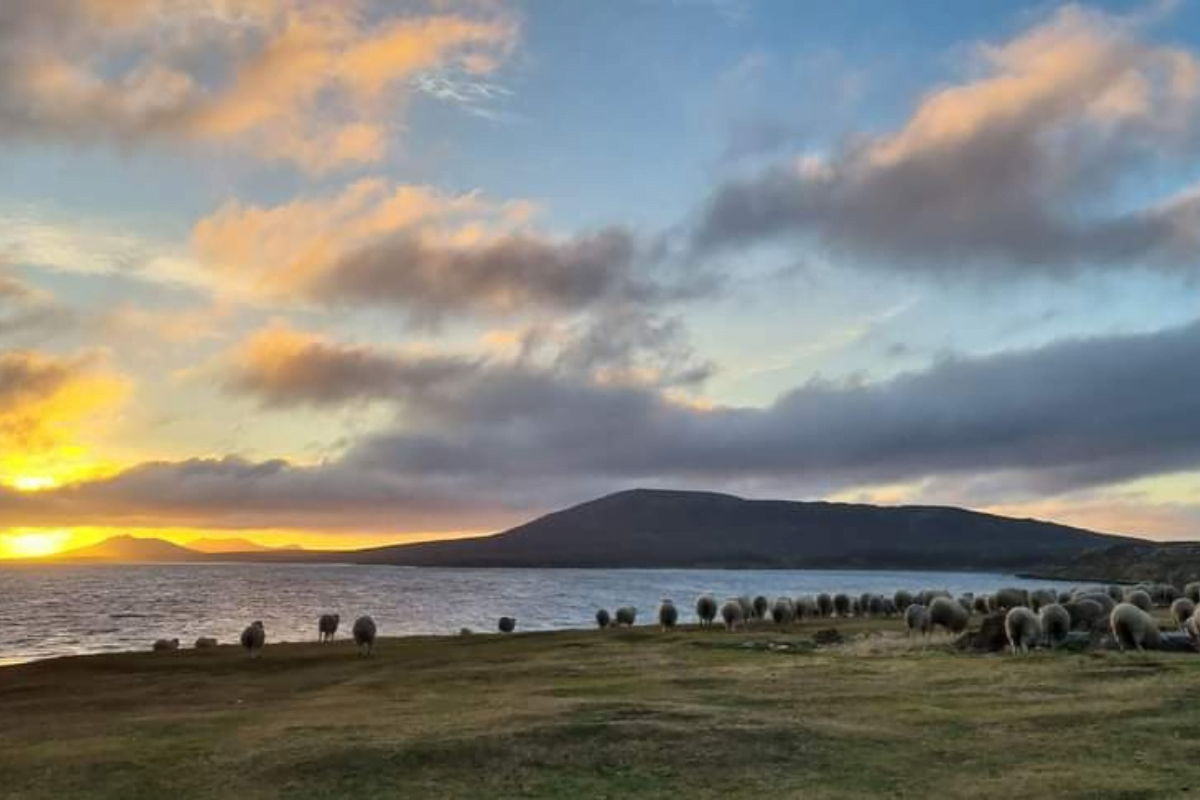 Adventure Awaits: Outdoor Activities on Pebble Island