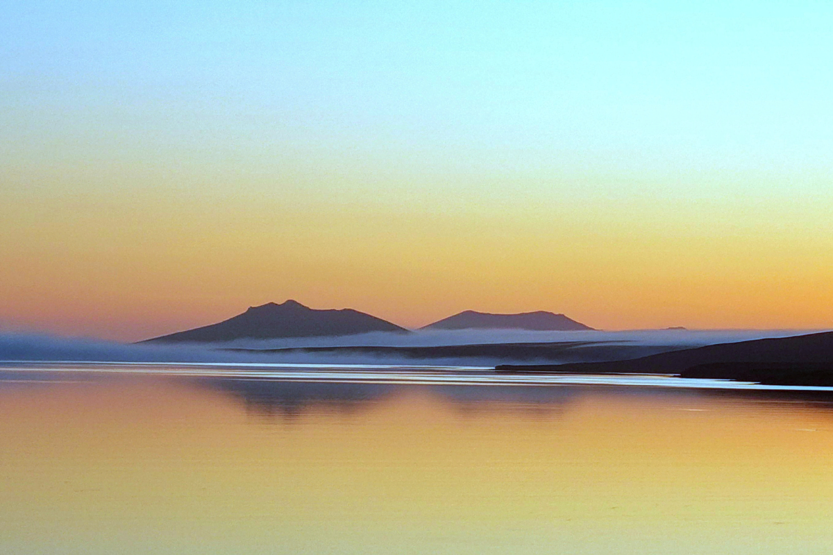 Discovering Pebble Island: A Hidden Gem in the Falkland Islands